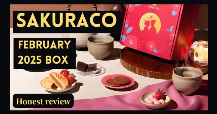 Sakuraco February 2025 Snack Box Review